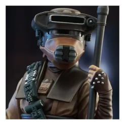 Gentle Giant Star Wars Épisode VI - Premier Collection - Figurine Leia Organa In Boussh Disguise 1/7 25 Gentle Giant Star Wars Épisode VI - Premier Collection - Figurine Leia Organa In Boussh Disguise 1/7 -Figurines Soldes star wars episode vi premier collection 17 leia organa in boussh disguise 8